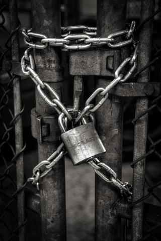 black and white image of a padlocked chain wrapped around a fence gate