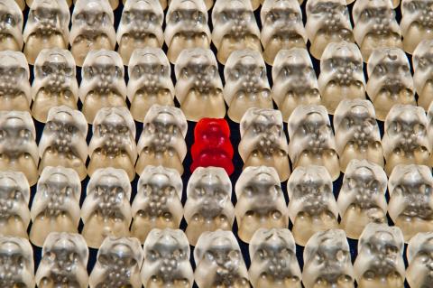 Rows of clear gummy bears with a single bright red one in the center